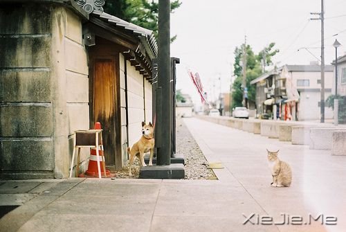 晚安心语:我的愿望是,一觉睡到小时候 (2)